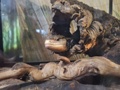 slika dogodka gallery/img/1/