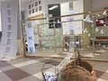slika dogodka gallery/img/7/