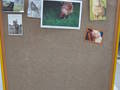 slika dogodka gallery/img/3/