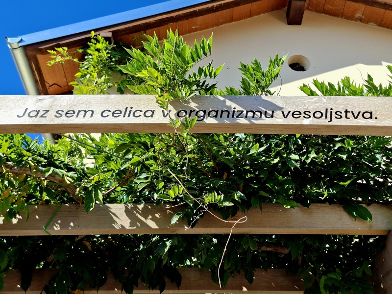 Slika dogodka: Excursion for The Year of Srečko Kosovel
