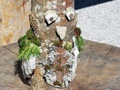 slika dogodka gallery/img/11/